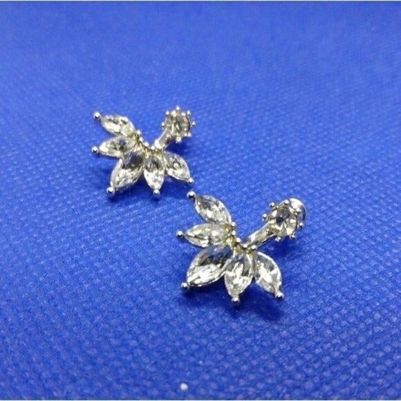 Elegant crystal claw earrings - Picture 1 of 5